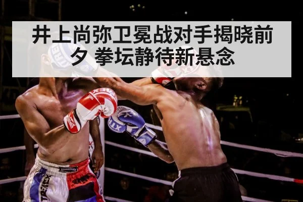 boxer training gloves - kaiyun